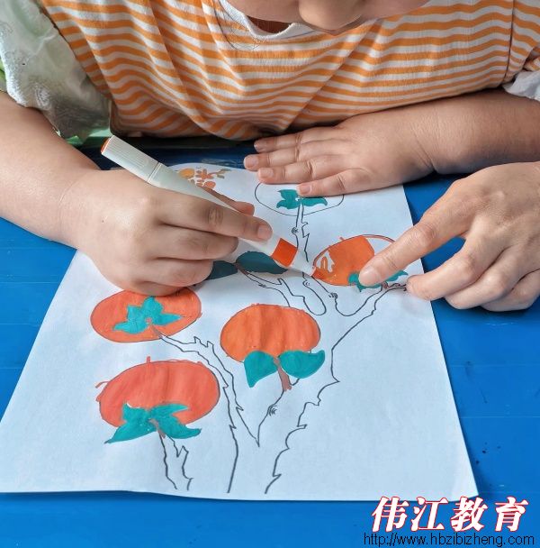 霜降柿红，成长正浓